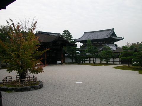 仁和寺　宸殿　南庭