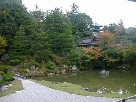 仁和寺　宸殿　北庭