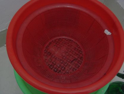 、、一人(/_;)脱走模様、、、。