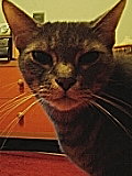 2005-12-14 17:33:43