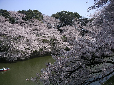 千鳥が淵