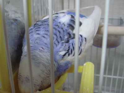 まぁるい。