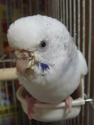 お目目ぎらり☆