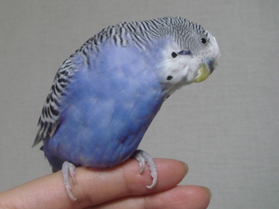 ん～？？？