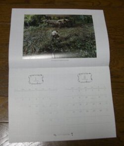pandacalendar.JPG