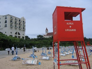 IMG_3020_1_1.JPG