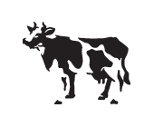 cowbooks.gif