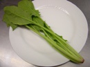 ほうれん草