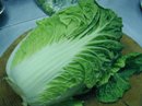 白菜