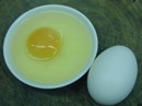 鶏卵