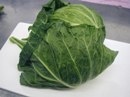 キャベツ
