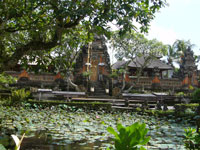 ubud7.jpg