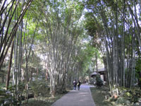 t3.jpg