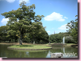 代々木公園.JPG