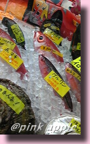 沖縄魚.jpg