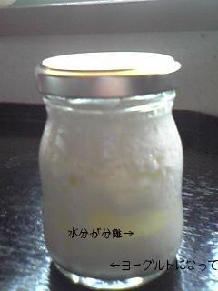 米ぬかヨーグルト