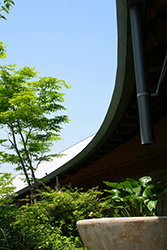 Makino Botanical Garden