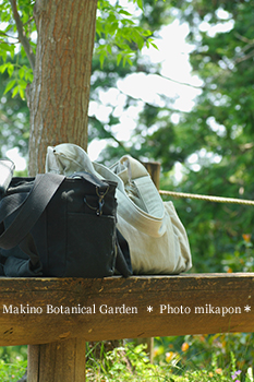 Makino Botanical Garden