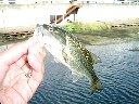 DSCF0033.JPG