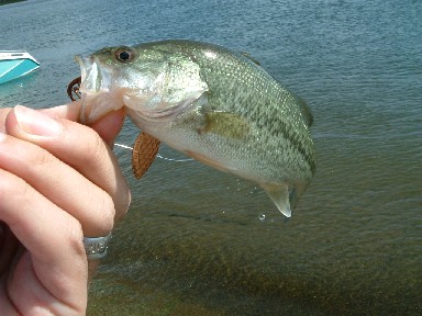 2006100817.JPG