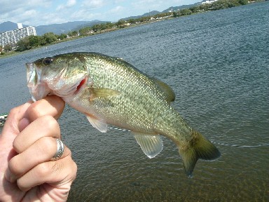 2006100833.JPG