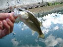 DSCF0008.JPG