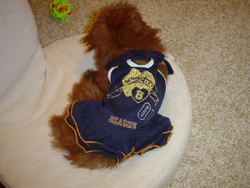 DSC02674.jpg