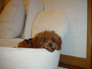 DSC02676.jpg