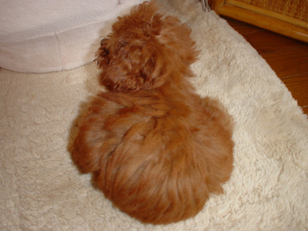 DSC02468.jpg
