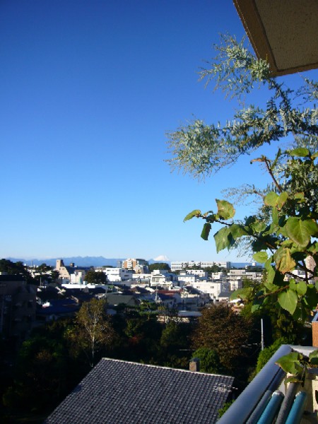 富士山