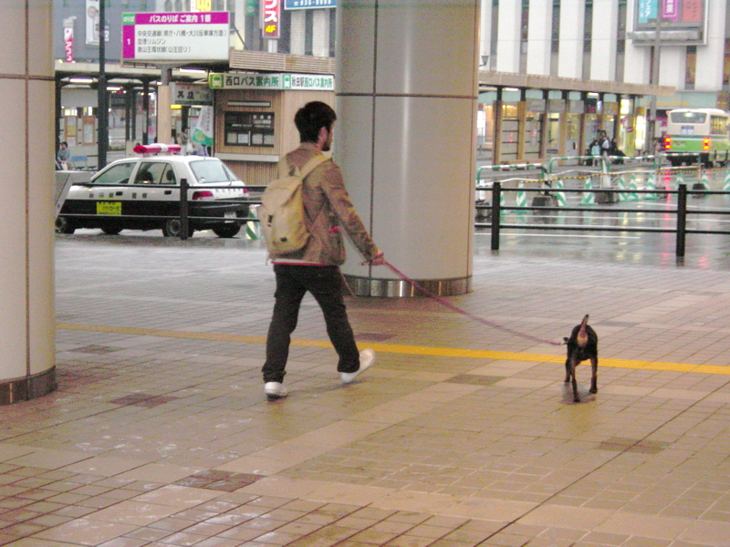 秋田駅＠トイレ休憩.jpg