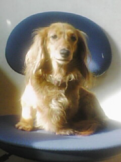 070116_1208~01.jpg