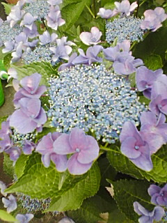 070701_1610~01.jpg