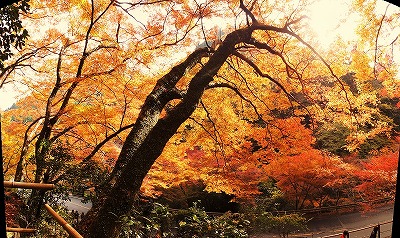 s-高山寺2.jpg