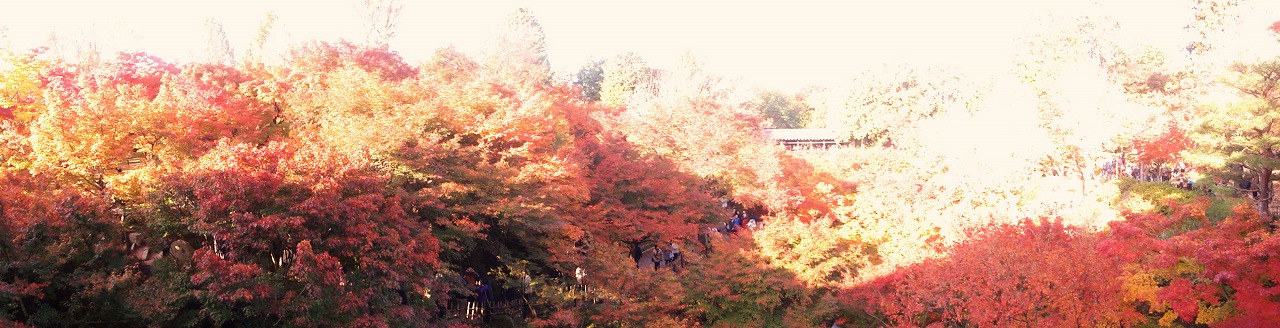 東福寺.jpg