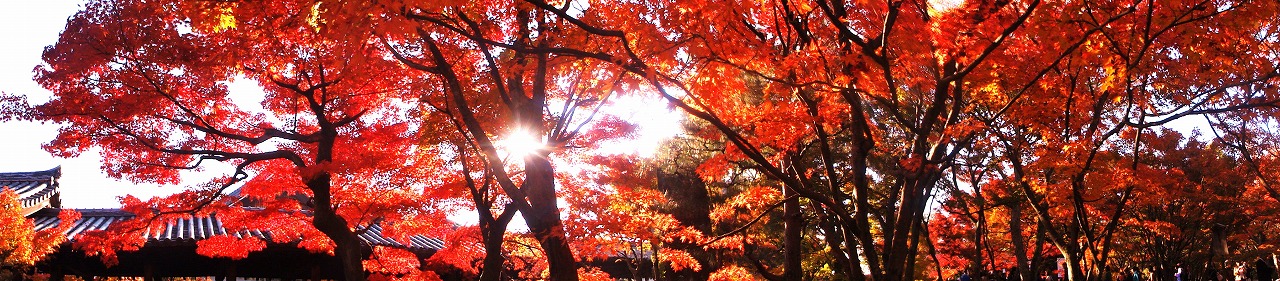 東福寺2.jpg