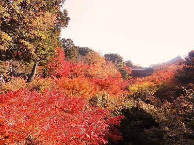 s-東福寺3.jpg