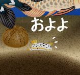 レア魚ｷﾀ━━━(≧∀≦)ノ━━━ !!!!!.jpg