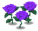 紫バラ.png