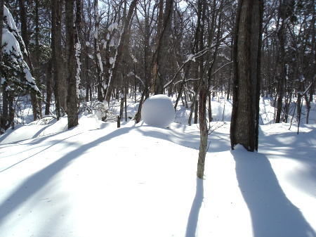 snow11.jpg