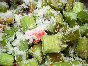 rhubarb5.jpg