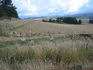 IMG_0927.jpg