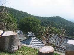 IMG_1834.jpg