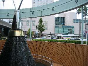 IMG_1785.jpg