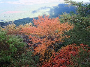 DSCF5527.jpg