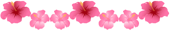 hibiscus-li1.gif