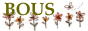 banner-bous0310.jpg