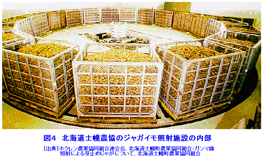士幌町農協のジャガイモ照射施設の内部.gif