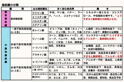 脂肪酸の種類.jpg