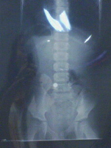 2008年１月25日 006.jpg